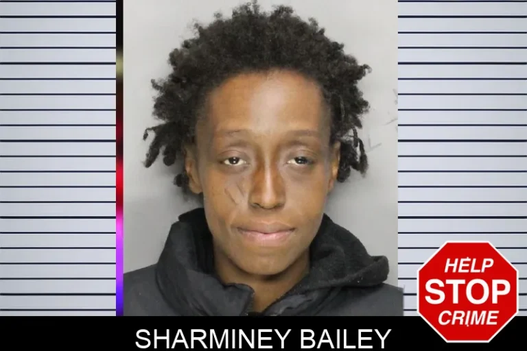 Sharminey Bailey mugshot – Cobb County , Georgia Sharminey Bailey