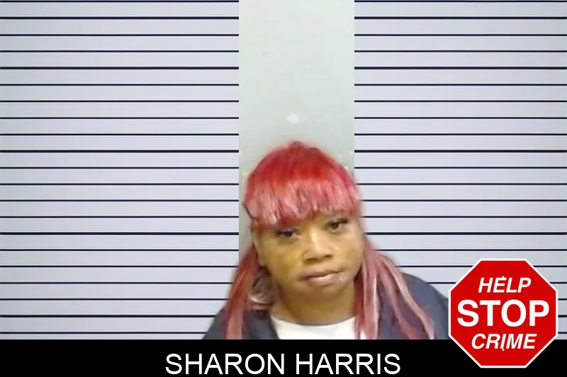 Sharon Harris Mugshots