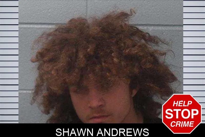 Shawn Andrews Mugshots