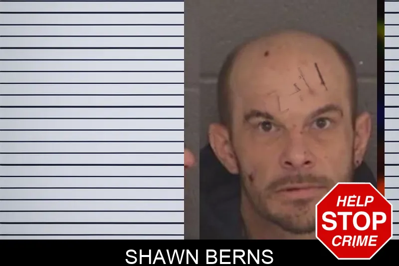 Shawn Berns Mugshots
