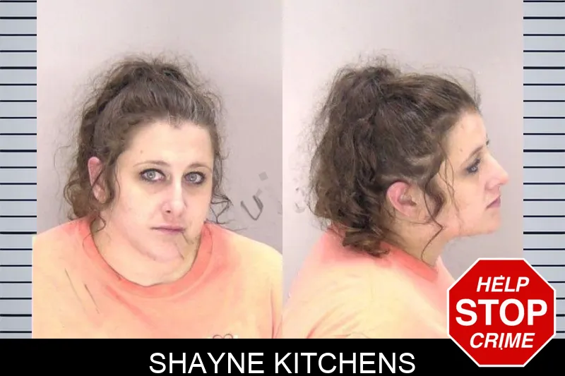 Shayne Kitchens Mugshots