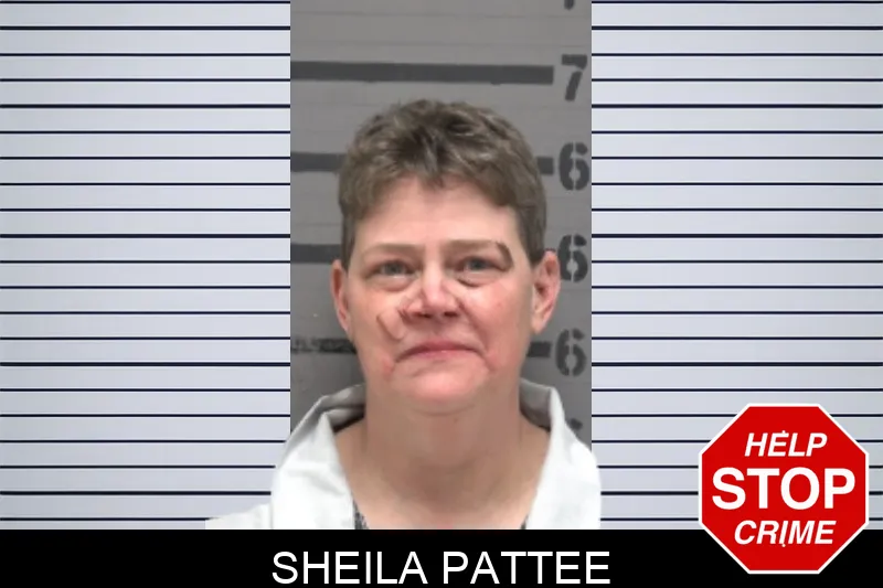 Sheila Pattee Mugshots