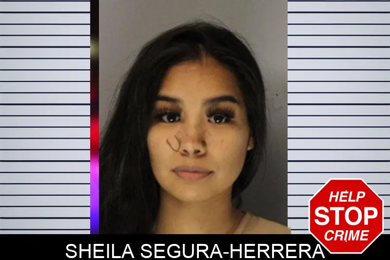Sheila Segura-Herrera Mugshots