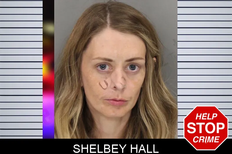 Shelbey Hall mugshot – Cobb County , Georgia Shelbey Hall mugshot