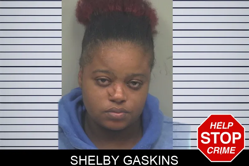 Shelby Gaskins mugshot