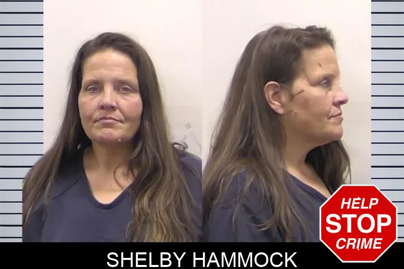 Shelby Hammock Mugshots