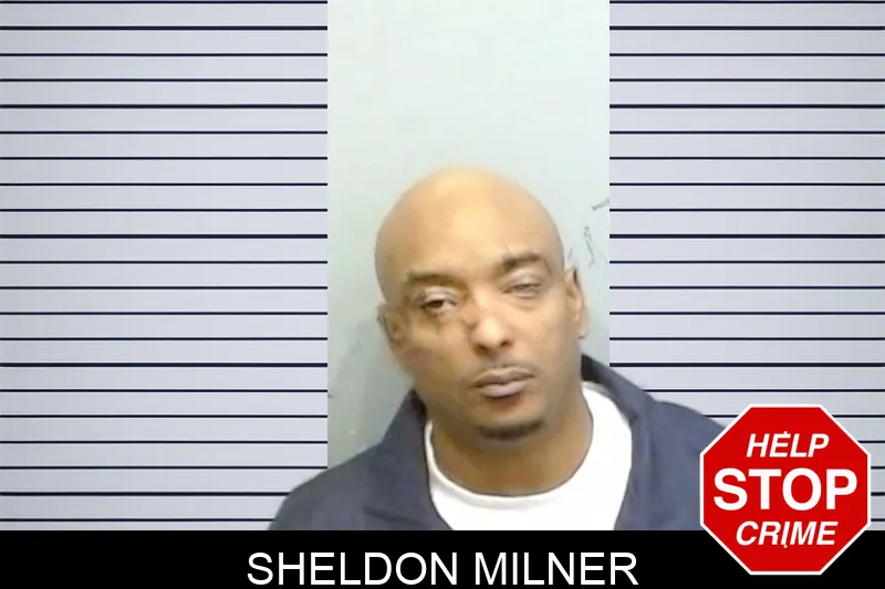 Sheldon Milner Mugshots