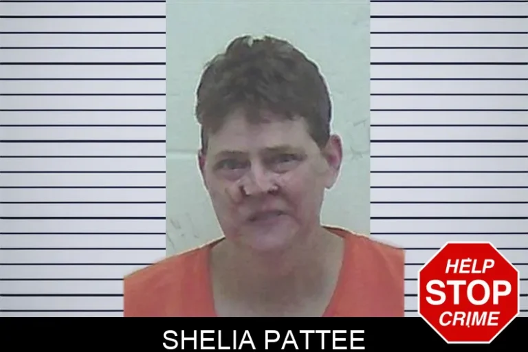 Shelia Pattee