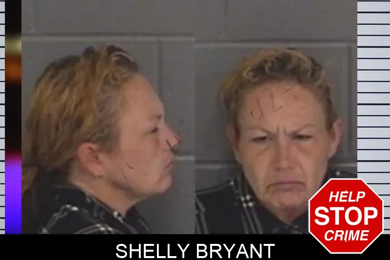 Shelly Bryant Mugshots