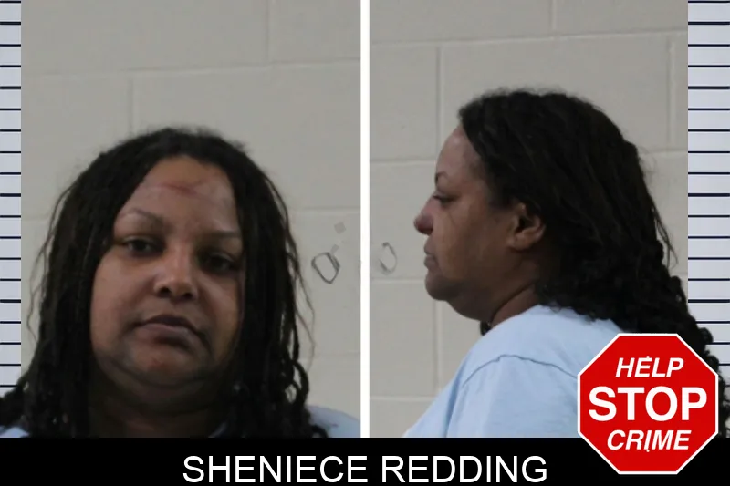 Sheniece Redding Mugshots