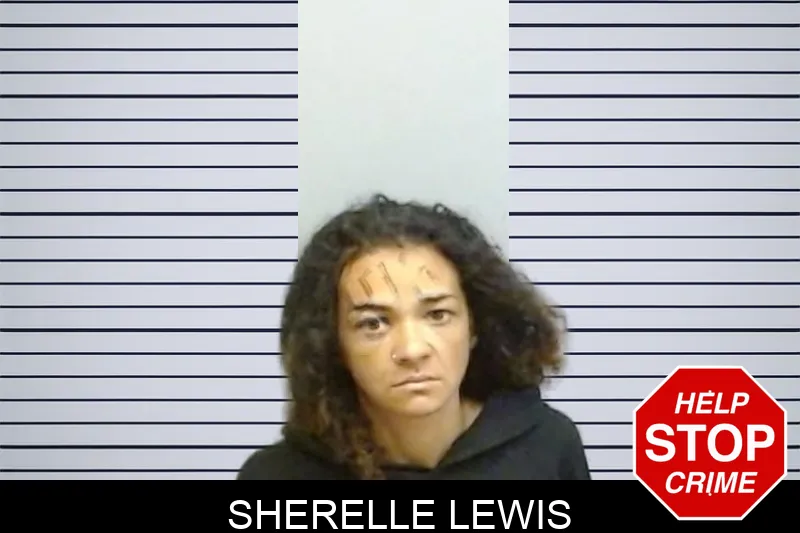 Sherelle Lewis mugshot