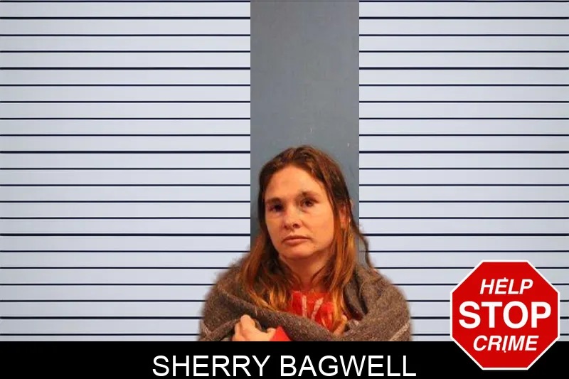 Sherry Bagwell Mugshots