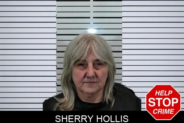 Sherry Hollis
