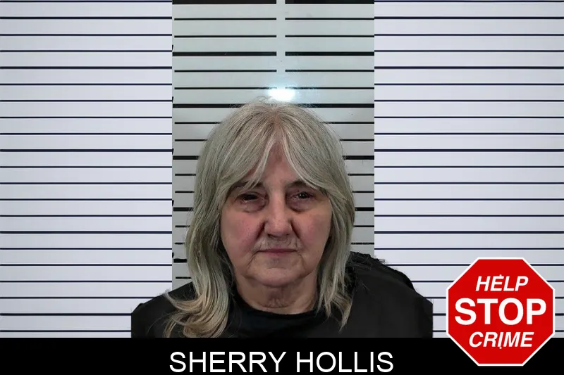 Sherry Hollis Mugshots