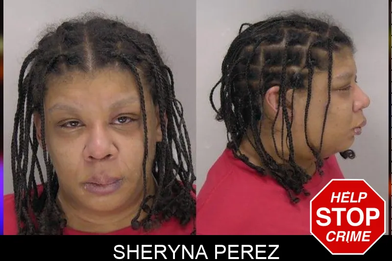 Sheryna Perez Mugshots
