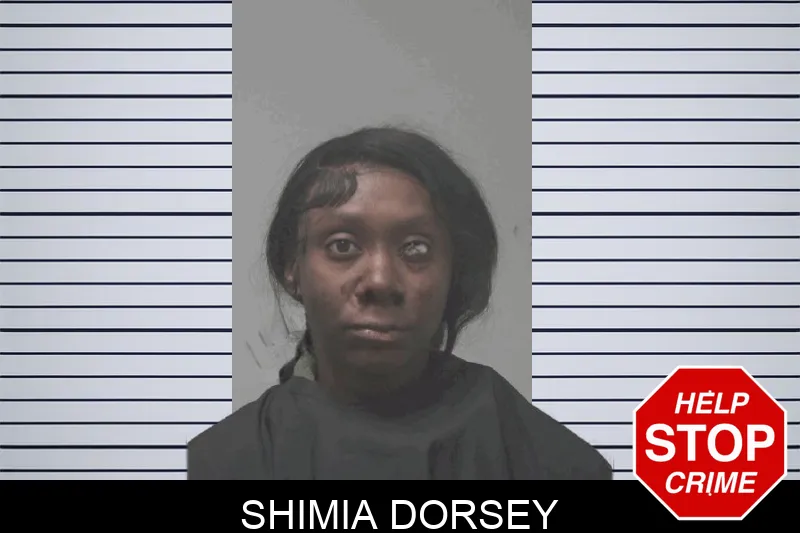 Shimia Dorsey Mugshots