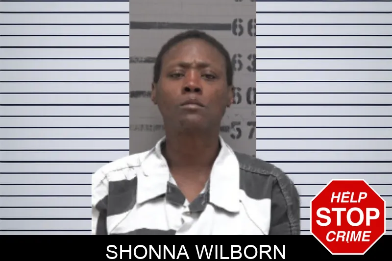 Shonna Wilborn Mugshots