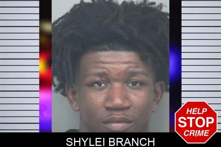 Shylei Branch mugshot – Gwinnett County , Georgia Shylei Branch