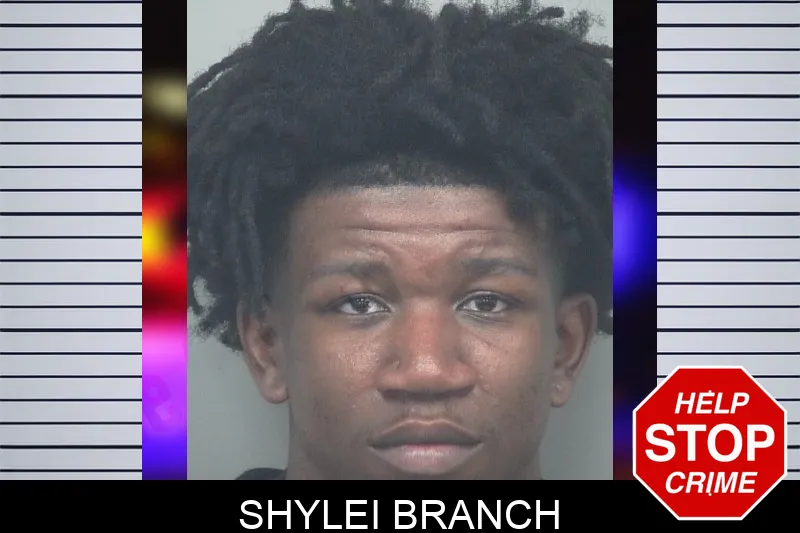 Shylei Branch Mugshots