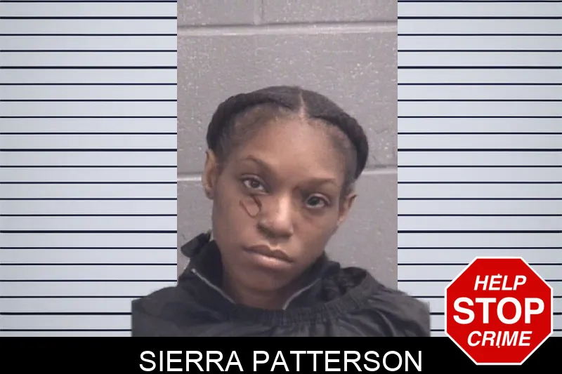 Sierra Patterson Mugshots