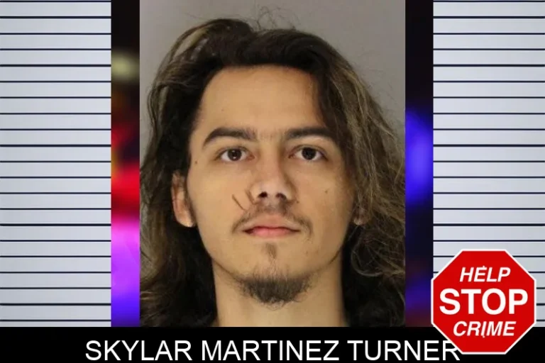 Skylar Martinez Turner mugshot – Hall County , Georgia Skylar Martinez Turner