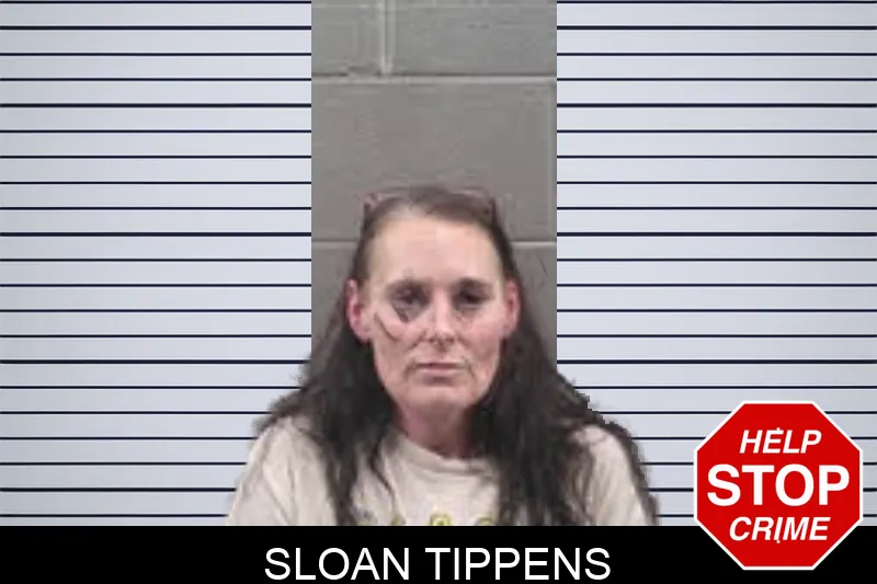 Sloan Tippens Mugshots