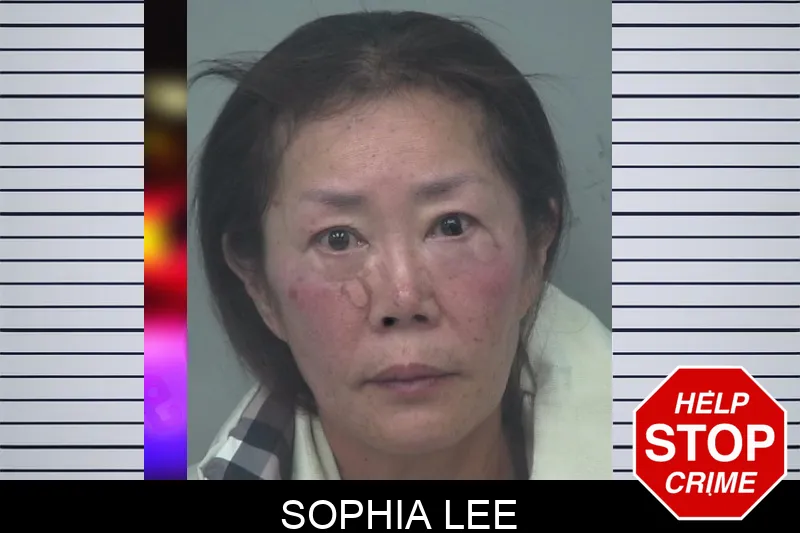 Sophia Lee mugshot – Gwinnett County , Georgia Sophia Lee mugshot