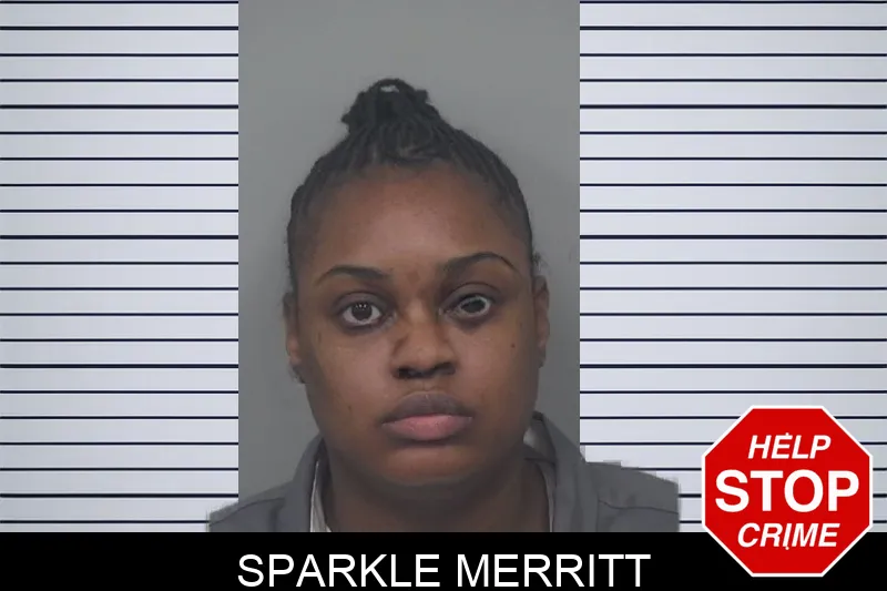 Sparkle Merritt mugshot – Gwinnett County , Georgia Sparkle Merritt mugshot