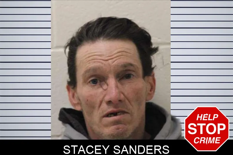 Stacey Sanders Mugshots