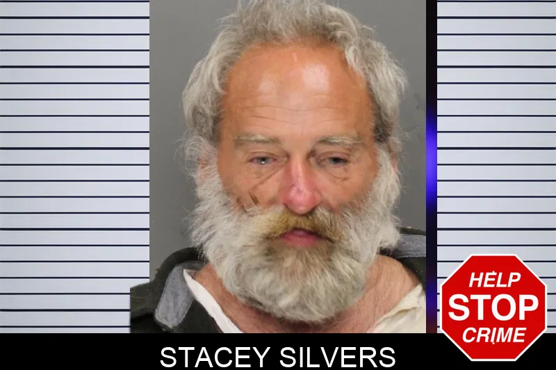 Stacey Silvers Mugshots