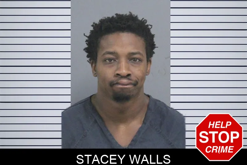 Stacey Walls Mugshots