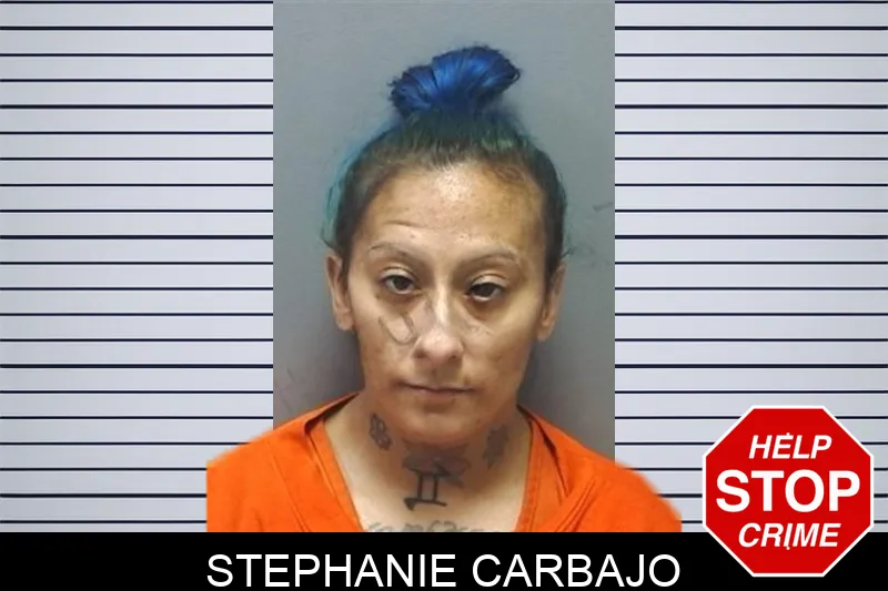 Stephanie Carbajo mugshot