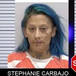 Stephanie Carbajo Mugshots