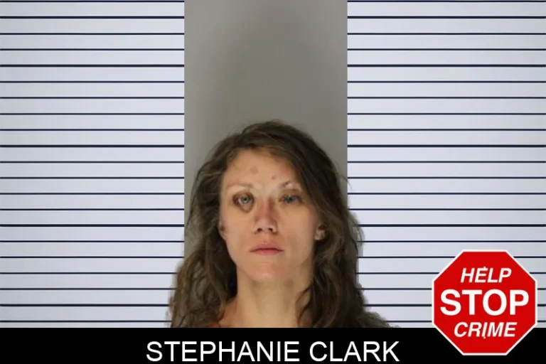 Stephanie Clark mugshot – Hall County , Georgia Stephanie Clark