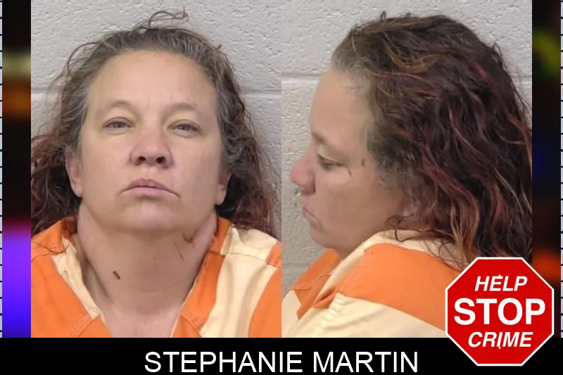 Stephanie Martin Mugshots