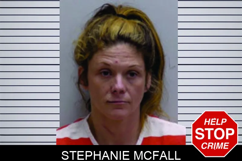 Stephanie McFall Mugshots