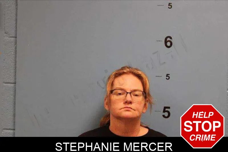 Stephanie Mercer mugshot