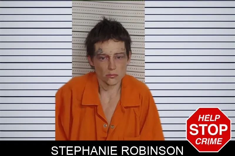 Stephanie Robinson Mugshots