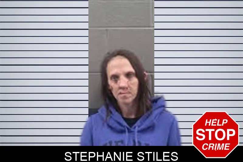 Stephanie Stiles Mugshots