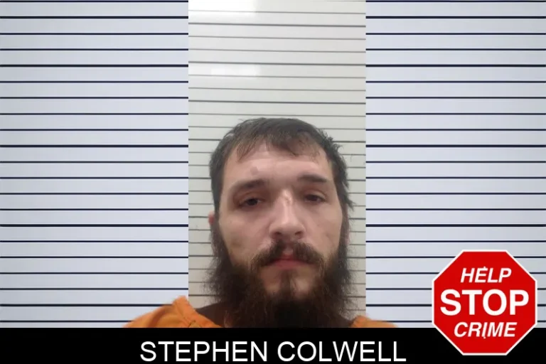 Stephen Colwell