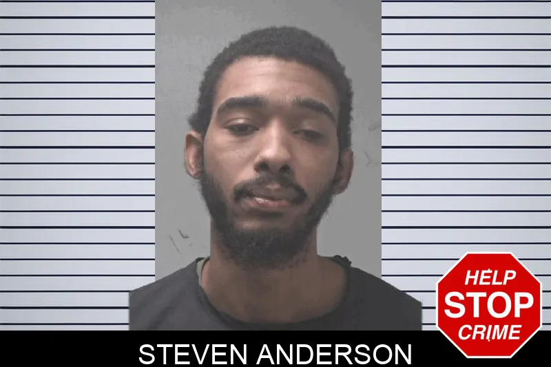 Steven Anderson Mugshots