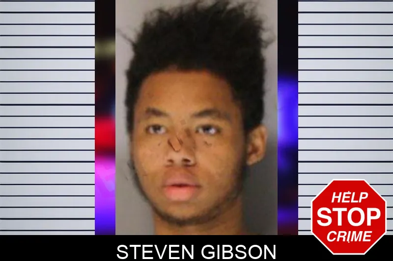Steven Gibson Mugshots