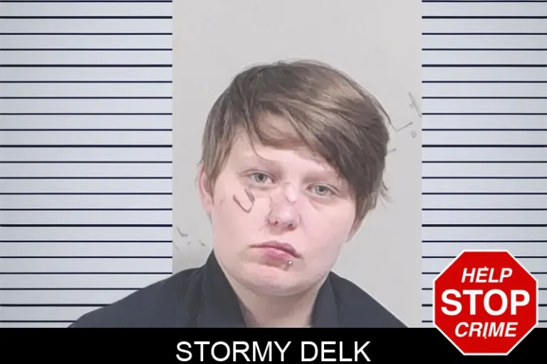 Stormy Delk mugshot – Lowndes County , Georgia Stormy Delk