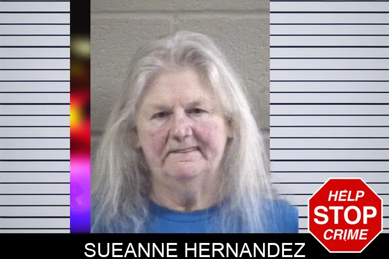 Sueanne Hernandez Mugshots