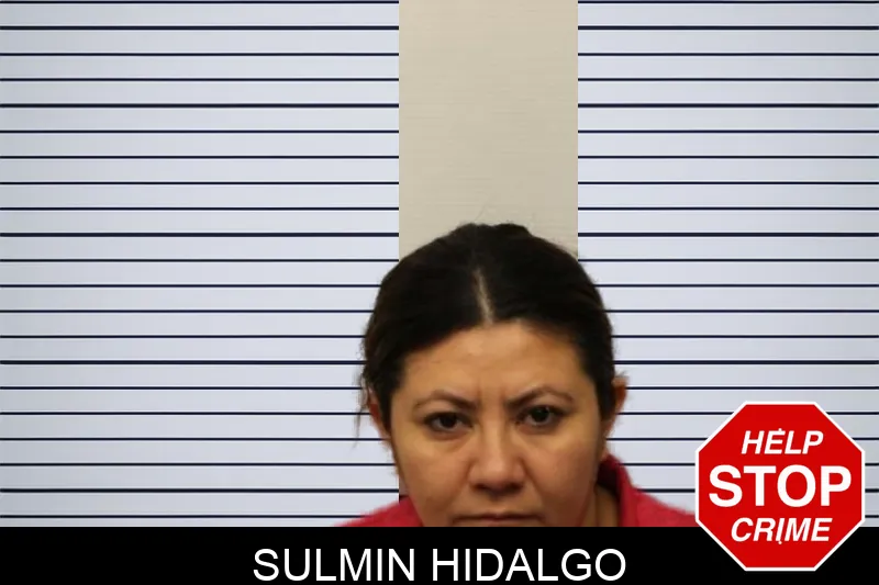 Sulmin Hidalgo mugshot – Chatham County , Georgia Sulmin Hidalgo mugshot