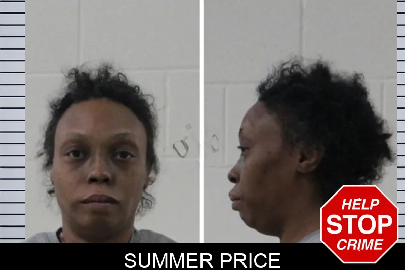 Summer Price Mugshots