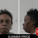 Summer Price Mugshots