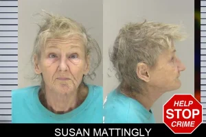 Susan Mattingly mugshot