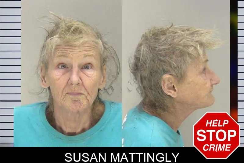 Susan Mattingly Mugshots