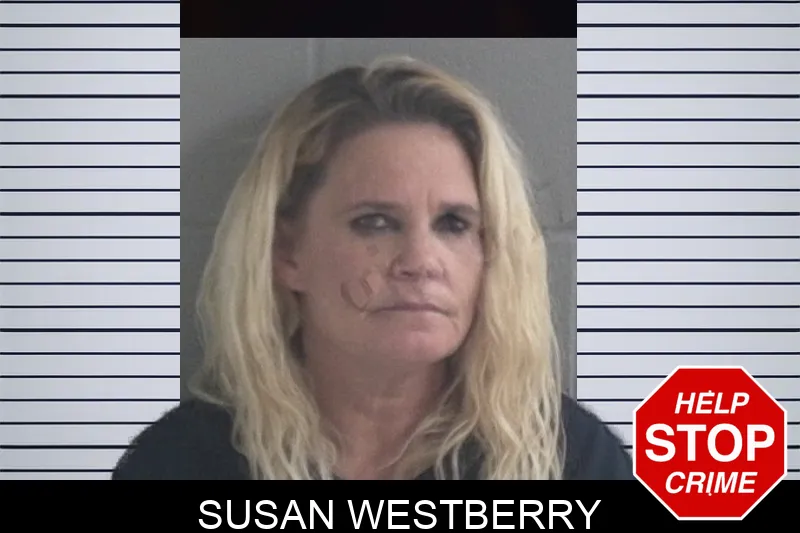 Susan Westberry Mugshots